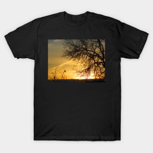 Dawn Chorus T-Shirt